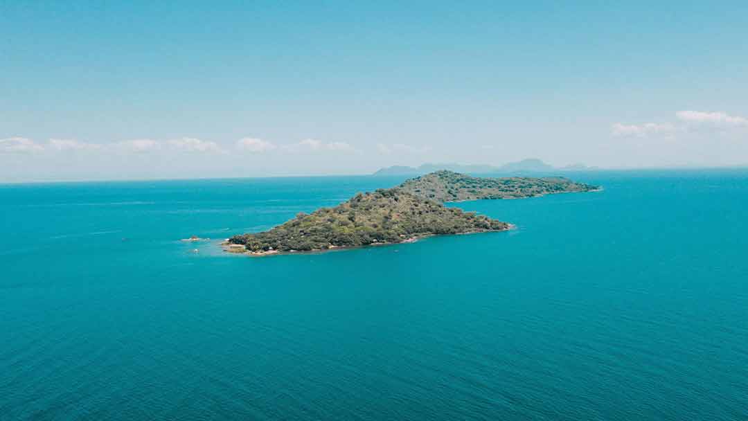 Lake- Malawi Blue Zebra islands scaled